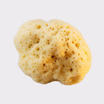 Adriatic sponge 16-18cm, seasponges.eu