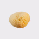 facial care sponge, seasponges.eu