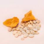 Seasponges, art craft, seasponges.eu