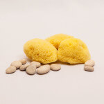 Facial Care Sponges, LOT OF 3, SeaSponges.eu